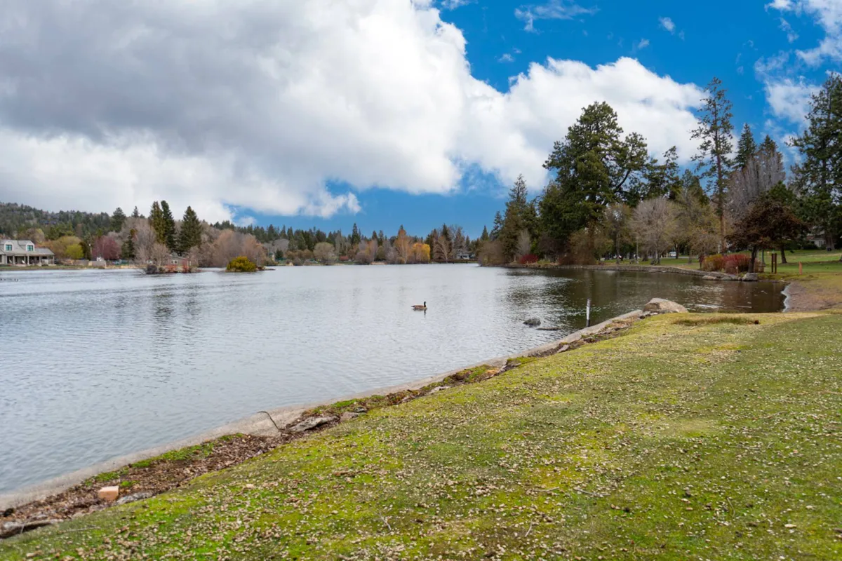 A tranquil lake bordered by lush greenery and distant mountains, with a lone duck gliding across the water. The scene is peaceful, inviting, and perfect for moments of reflection or unwinding after a productive day.